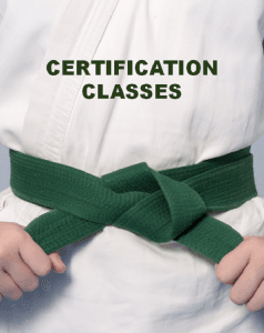 Certification Classes Green Belt Certification Classes